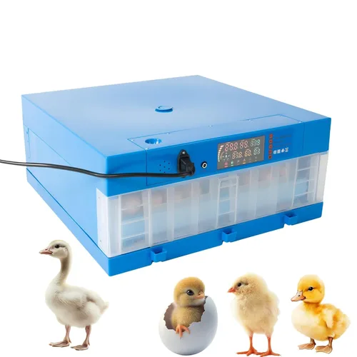 Miniatura 13 de 12 incubadoras para incubar huevos, incubadora de huevos de gallina con giro automático de huevos y pantalla de humedad y luz LED para incubar pollos