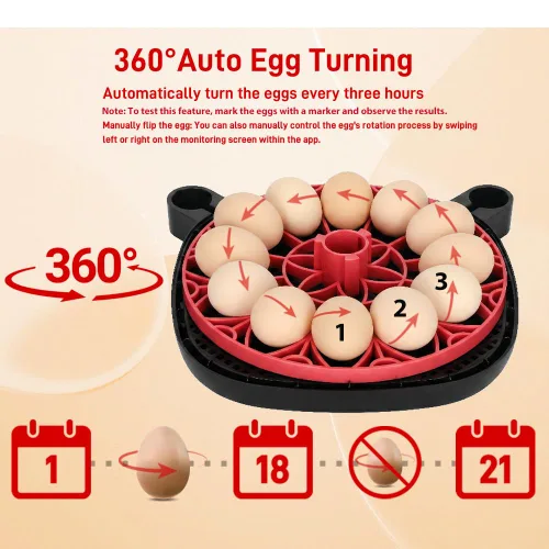 Miniatura 4 de Incubadora automática de huevos para 12 huevos de gallina con control de aplicación de cámara, monitor de temperatura y humedad, girador automático