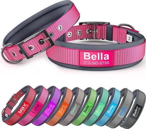 Collar de perro personalizado con nombre y número de teléfono, hebilla duradera, ultra visible, totalmente reflectante y de neopreno acolchado de