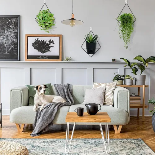 Miniatura 7 de Koalaime 3 juegos de macetas de pared para plantas de interior, macetas colgantes geométricas para plantas de interior, macetas de riego automático