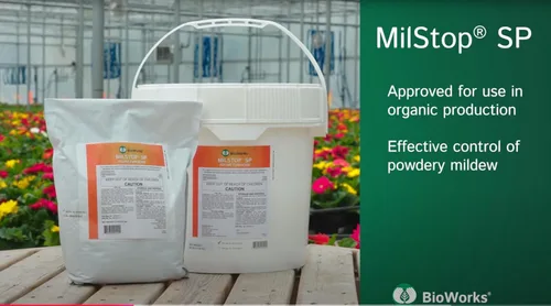 Miniatura 2 de MilStop SP Fungicida foliar orgánico, bolsa de 5 libras, con tijeras de recortar