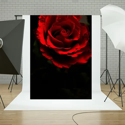 Miniatura 4 de Telón de fondo de fotografía negro rosa roja de 5 x 7 pies para retrato abstracto, sesión de fotos negra, fondo de fotos para adultos, retrato