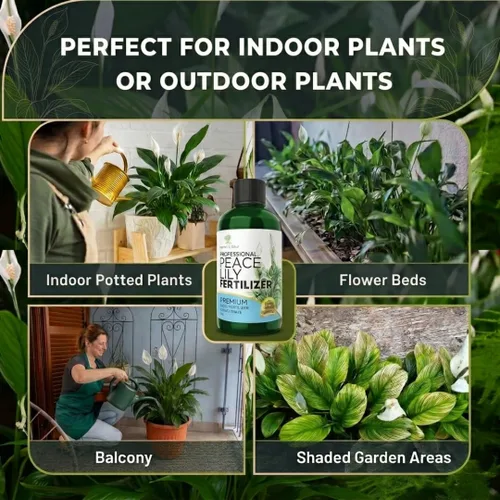 Miniatura 6 de Fertilizante líquido profesional para plantas de lirio de la paz 3-1-2 concentrado para plantas y flores Mezcla multiusos y suministros
