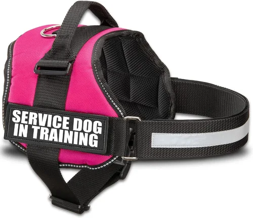 Miniatura 11 de Industrial Puppy Arnés de chaleco de entrenamiento para perro de servicio, chaleco duradero y ajustable con correas reflectantes, parches