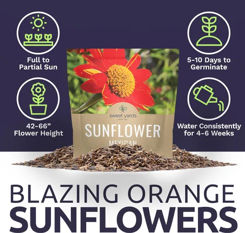 Miniatura 6 de Semillas de girasol mexicano - Paquete extra grande - Más de 2,500 semillas de flores silvestres polinizadas abiertas sin OMG - Tithonia rotundifolia