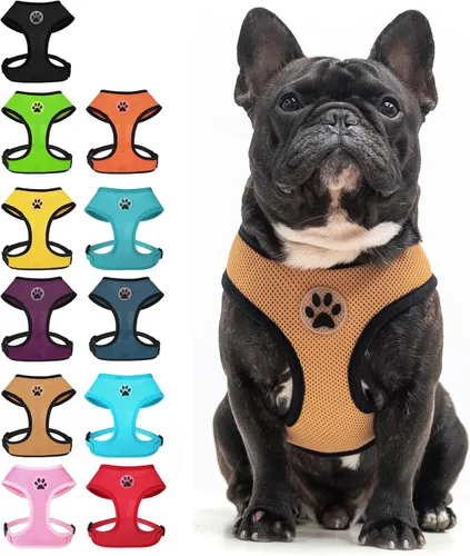 Miniatura 18 de BINGPET Arnés para perro sin tirones, arnés de chaleco tipo step-in de malla para todo clima para perros pequeños, arnés de malla transpirable