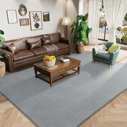 Amearea Alfombras Modernas de Área para Dormitorio Sala de Estar, 4x6 Pies Gris Alfombra de Espuma Viscoelástica Engrosada, Alfombras Mullidas para