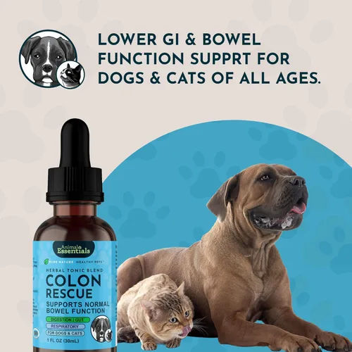 Miniatura 7 de Animal Essentials Colon Rescue - Fórmula de hierbas para perros y gatos, tracto gastrointestinal saludable, sabor dulce, hierbas 100% orgánicas