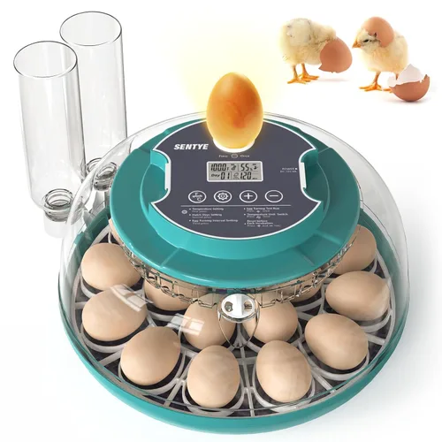 Incubadora automática de huevos con pantalla LED, incubadora de huevos grande con sistema de giro y humedad ajustable, incubadora de tapa