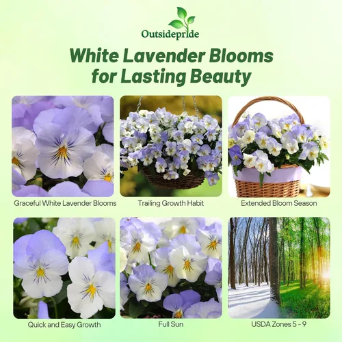 Miniatura 2 de Outsidepride Cool Wave Frost Viola - Semillas de pensamiento para plantar, 15 piezas. Flores biennales, para propagar, resistentes al frío y aptas