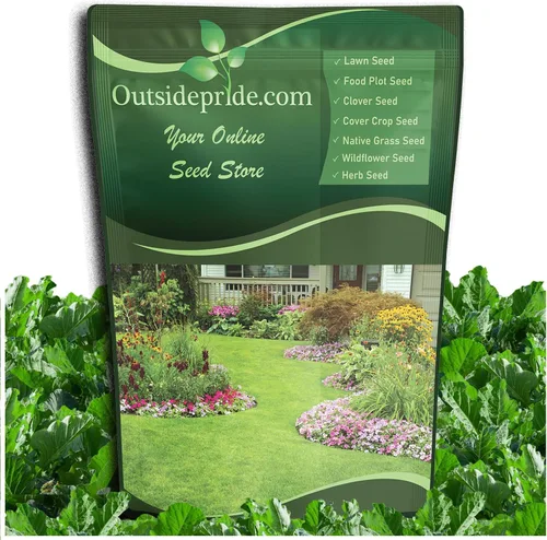 Outsidepride Bayou - Semillas de col rizada – 5 libras anuales, versátiles y tolerantes al frío, semillas de cultivo de cobertura para plantar