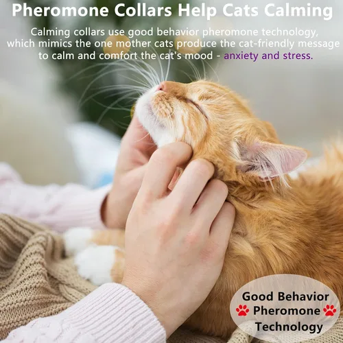 Miniatura 2 de Paquete de 3 collares ajustables para ansiedad, feromonas calmantes para gatos y gatitos, alivio del estrés, collar cómodo relajante (violeta)