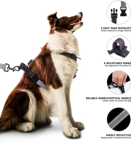 Miniatura 2 de Roses&Poetry Juego de arnés y correa para cachorros y perros, arnés para perros sin tirones ajustable reflectante, arneses de halter para perros