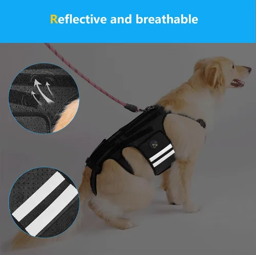 Miniatura 5 de Coodeo Soporte de espalda para perros para artritis, soporte de espalda para mascotas para IVDD, protector de espalda ayuda a aliviar el dolor, Negro