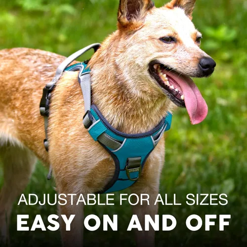 Miniatura 4 de Arnés para perro de aventura Embark, arnés para perro sin tirones con ribete reflectante para perros grandes - Nylon de grado militar, clip frontal