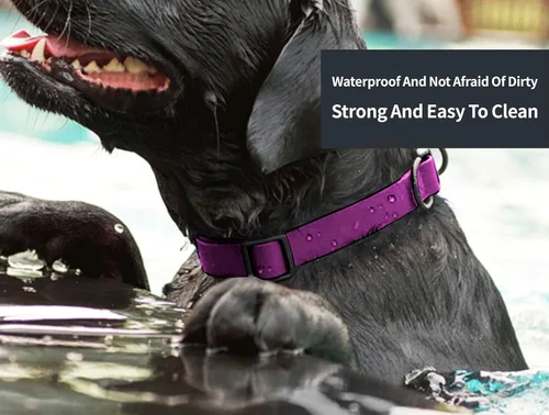 Miniatura 5 de Collares de perro impermeables, fácil de limpiar, collares ajustables para perros pequeños, medianos y grandes (morado, M)