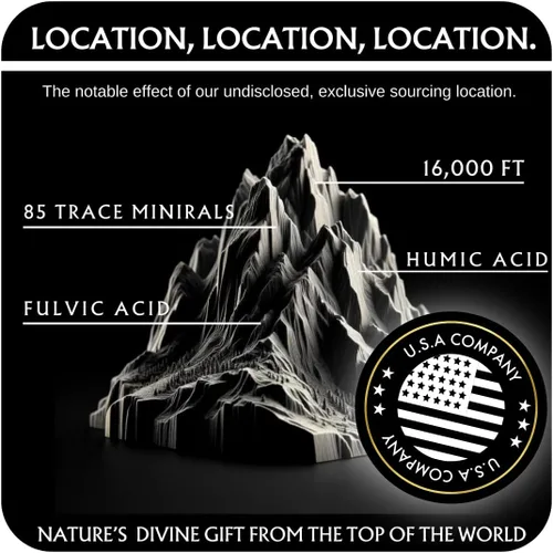 Miniatura 5 de THE GOLD Shilajit - Resina Shilajit Shilajit orgánica pura del Himalaya para hombres y mujeres, prueba de laboratorio en grado de Estados Unidos A+