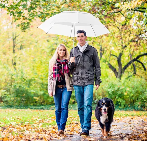Miniatura 6 de EEZ-Y Folding Golf Umbrella