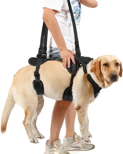 Miniatura 6 de Arnés de elevación para perros NOYAL para mascotas mayores y lesionadas – Arnés de soporte de cuerpo completo con malla transpirable, asistencia