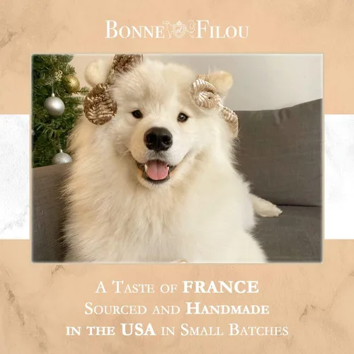 Miniatura 6 de Bonne et Filou Golosinas para perros, pasteles de mantequilla de maní, regalo de cumpleaños para perros de raza mediana a grande – Pasteles