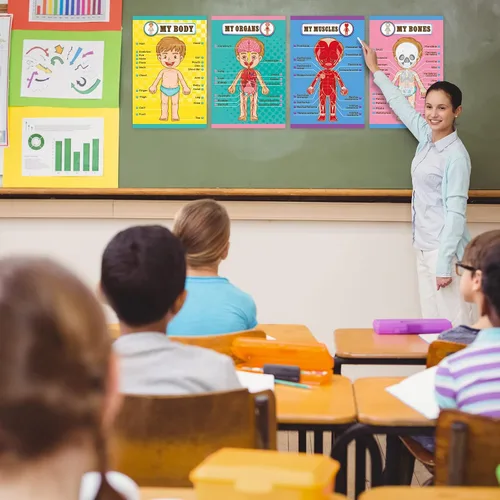 Miniatura 4 de Outus Carteles educativos de aprendizaje del cuerpo humano, parte del cuerpo, tabla de pared de 22 x 17 pulgadas para niños, tabla de anatomía