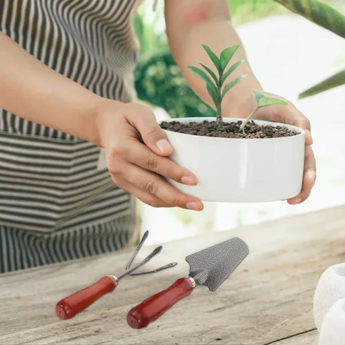 Miniatura 6 de TOYANDONA 1 juego de herramientas de jardinería de mano, pala de jardín y rastrillo para plantar deshierbe y trasplante y herramientas de jardinería