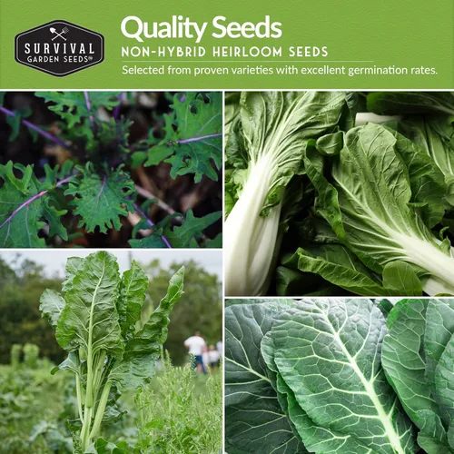 Miniatura 3 de 10 Power Greens Seed Collection - Coles de reliquia, mostaza, acelgas, espinacas, col rizada, tatsoi, pak choi y más para plantar otoño y primavera