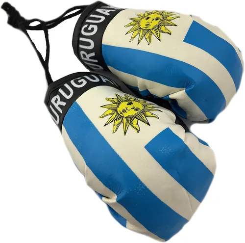 Miniatura 26 de Mini guantes de boxeo para colgar en el espejo del coche (Camerún)