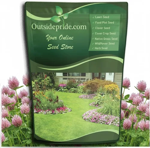 Outsidepride - Semilla de trébol hoja de flecha para forraje, heno, pasto picado y pastoreo, 50 lb