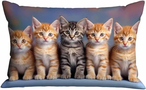 Miniatura 9 de Mugod Funda de almohada rectangular con purpurina dorada, cita motivacional, Hello Beautiful, funda de cojín decorativa para sofá de 20 x 30 pulgadas