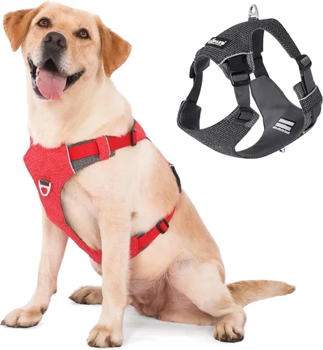 Miniatura 9 de LIOPARD Arnés para perro, arnés para mascotas fácil de caminar sin tirones, con 2 clips para correa, chaleco reflectante suave acolchado ajustable