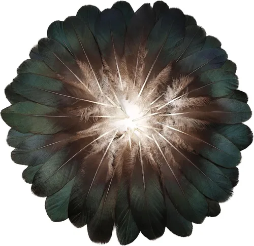 Miniatura 12 de FeelfunFeather 120 piezas de plumas de ganso gris natural de 6-8 Pulgadas 15-20cm, plumas decorativas a granel para manualidades DIY, cosplay