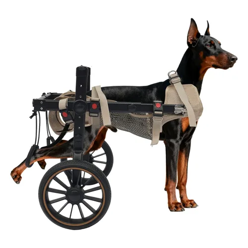 Dog Wheelchair for Back Legs, 2-Wheel Pet Rehabilitation Walking Aid with Adjustable Frame, Aluminum Alloy Support for Large Medium Dogs
