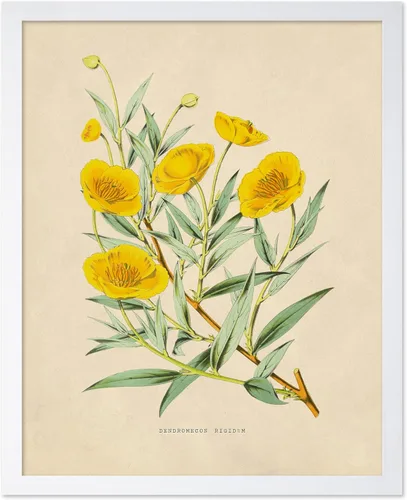 Miniatura 19 de Poster Master Póster Vintage de Plantas Cultivadas - Impresión Botánica Retro - Arte de Flores - Arte de Plantas - Regalo para Hombres y Mujeres