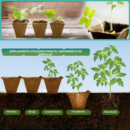 Miniatura 3 de Bandeja de inicio de semillas de 120 celdas, paquete de 10 macetas de turba biodegradables con 100 etiquetas, kit de inicio de plantas para plántulas