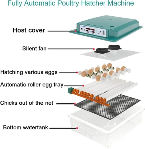 Miniatura 7 de YXCKG Incubadora digital automática de 120 huevos para incubar huevos de gran capacidad con vela de huevos, girador automático de huevos