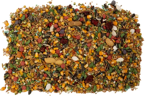 Miniatura 6 de Wild Harvest Advanced Nutrition - Loro de 4 libras, mezcla de semillas, granos y verduras