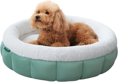 Miniatura 9 de BALANCE Camas para gatos de interior, cama redonda lavable para gatos, bonita cama para gatitos con parte inferior antideslizante para gatitos