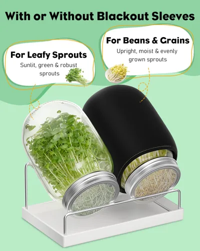 Miniatura 5 de Kit de germinación Pawfly, tarros de boca ancha de 1 cuarto de galón (1000 mL) de albañil, kit de tarros de germinación con tapas de malla de acero