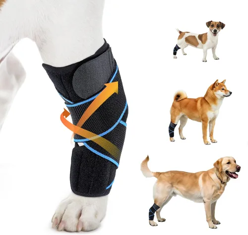 Rodillera para perro para desgarro del ligamento cruzado anterior, artritis, luxación de rótula y soporte poscirugía, transpirable, ajustable, para