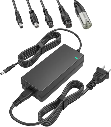 Adaptador de Corriente Certificado SGS 42V 2A Powerfast Conector de 3 Clavijas para 36V Sports Mod y Pocket Mod Batería de Litio 10S, Reemplazo de