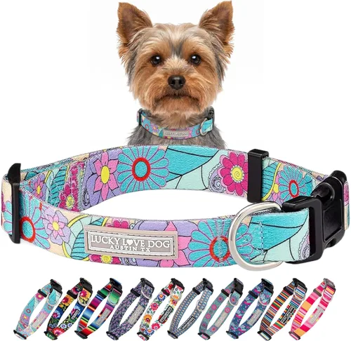 Miniatura 59 de Lucky Love Dog - Collar para perras pequeñas, diseño Blackbird de estampado alegre con flores de primavera y verano, talla XS