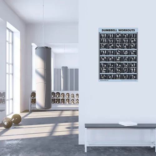Miniatura 7 de Palace Learning Juego de 2 pósteres de ejercicios con mancuernas y barra laminada, juego de 2 cuadros laminados, rutina de ejercicio con mancuernas