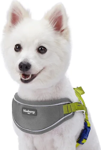 Miniatura 7 de Blueberry Pet Arnés acolchado para perro, 8 colores, suave y cómodo, tiras reflectantes 3M, contorno de pecho de 30 a 38.5 pulgadas, rojo, grande