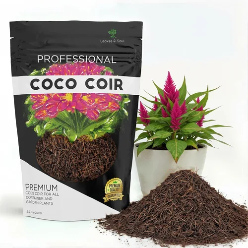 Miniatura 9 de Guijarros de arcilla profesionales Expandido para plántulas, esquejes de raíces, hidroponía, plantas, aditivo ligero para el suelo Grande 2.2