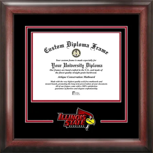 Miniatura 83 de Marco de Diploma Spirit NCAA