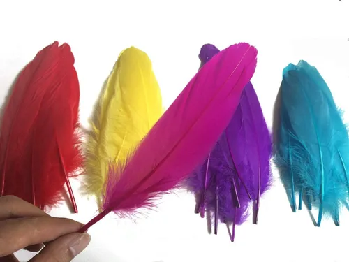 Miniatura 2 de Plumas de ganso de colores, paquete de 100 unidades de 10