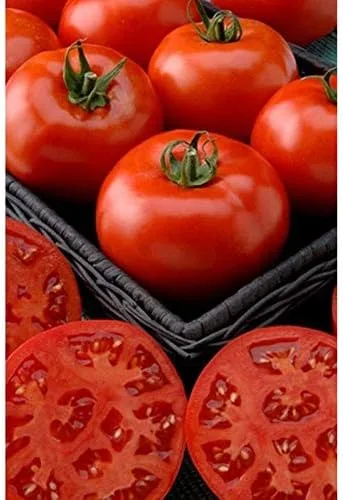 Semillas de tomate híbridas Phoenix, tipo arbusto rara vez necesita replanteo (10 - semillas)