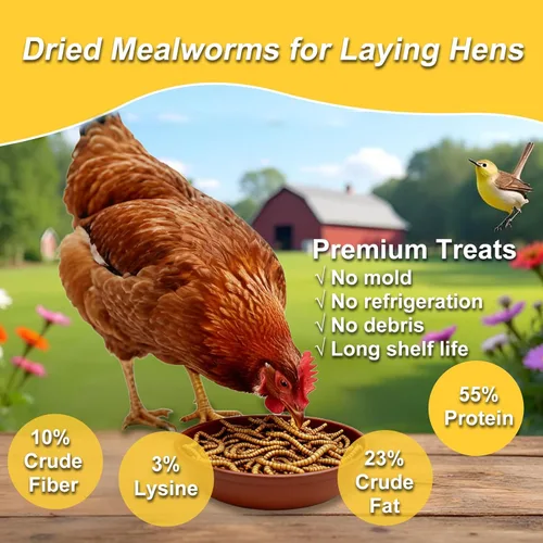 Miniatura 2 de RANZ 5 libras de gusanos secos sin OMGs para pollos, gusanos altos en proteína, alimento premium para pollos, alimento y golosinas perfectas