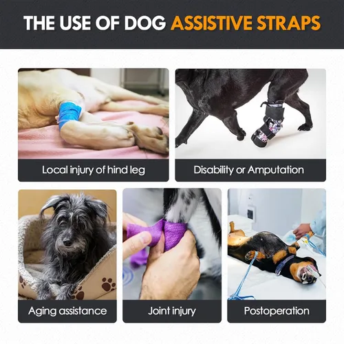 Miniatura 4 de Arnés de elevación para perros para patas traseras, soporte resistente para perros, soporte de cadera para caninos grandes y medianos, ayudante